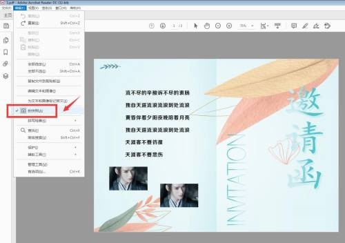 Adobe Acrobat Reader DC怎么设置拍快照分辨率 设置拍快照分辨率的方法 热门软件技巧解析教程和日常应用问题教程